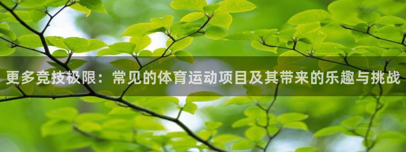 bbin视讯游戏平台
