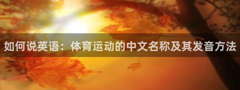 bbin视讯游戏官网