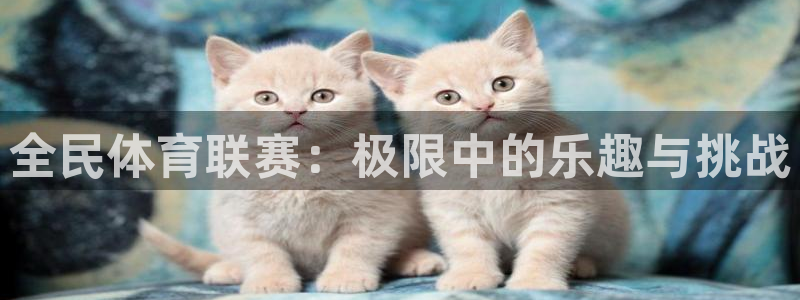 bbin视讯下