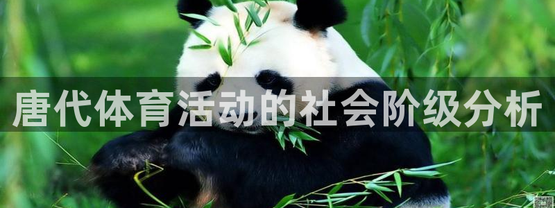 bbin视讯游戏官网：唐代体育活动的社会阶级分析