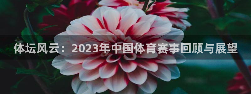 bbin视讯下：体坛风云：2023年中国体育赛事回顾与展望
