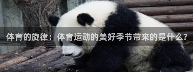 bbin视讯下：体育的旋律：体育运动的美好季节带来的是什么?