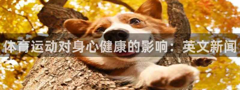 bbin视讯下