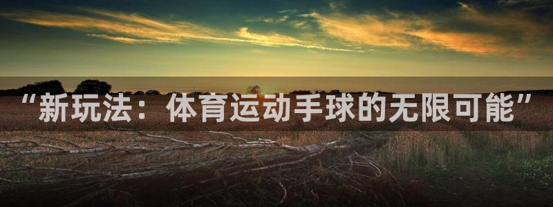 bbin视讯游戏平台：“新玩法：体育运动手球的无限可能”